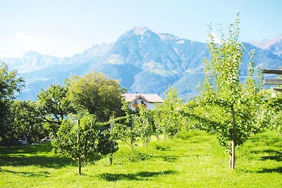 Wohnung in Dorf Tirol nahe Spronser Seen
