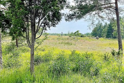 10 Personen Ferienhaus in KATTHAMMARSVIK