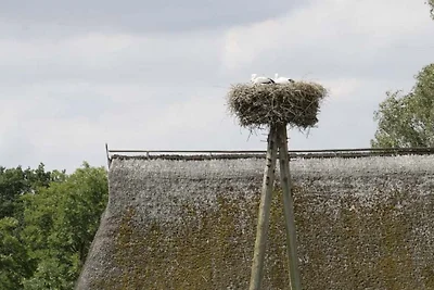 Adam´s Schwedenhaus