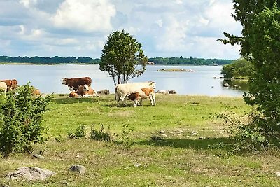 4 Personen Ferienhaus in Hagby