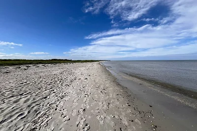 14 persoons vakantie huis in Sæby