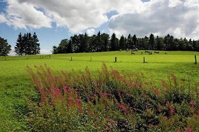 Appartamento vicino agli impianti di...