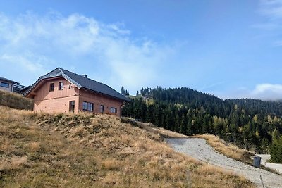 Hütte in Bad St. Leonhard mit Barbecue