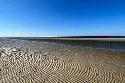 Ruhiger Ruckzug in Romo -- By Traum...