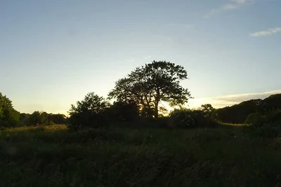 Ruhiger Hüttenurlaub in Ebeltoft
