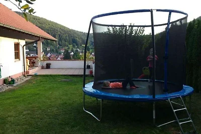 Mayntz´Albjuwel Komfortable Ferienresidenz
