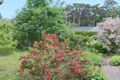 6 Personen vakantie huis in MELLBYSTRAND