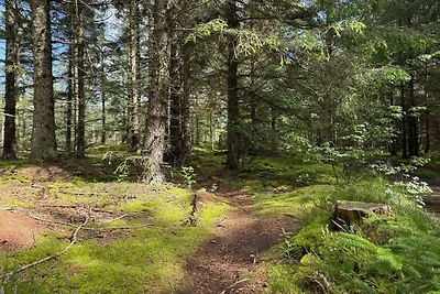 5 Personen Ferienhaus in Snedsted