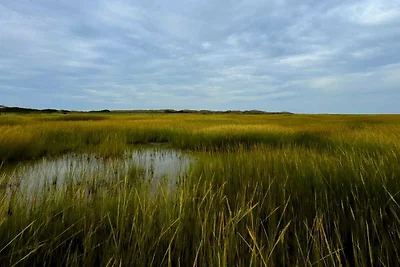 7 Personen Ferienhaus in Fanø-By Traum