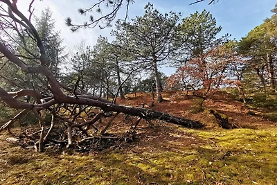 4 Personen Ferienhaus in Oksbøl