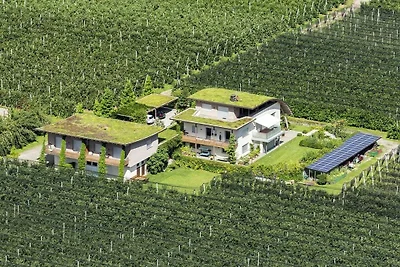 "Grün" auf dem Sandwiesen-Hof