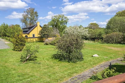 5 Sterne Ferienhaus in Liseleje
