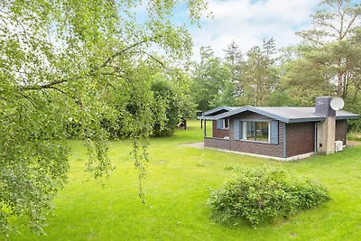 5 Personen Ferienhaus in Højslev-By Traum