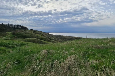 10 persoons vakantie huis in Fjerritslev-By...