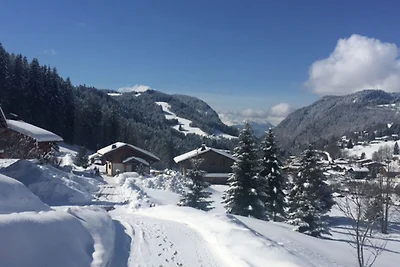 Wunderschönes Chalet an den Berghängen