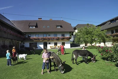 Gospodarstwo Perhinig