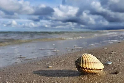 5 Sterne Ferienhaus in Hirtshals