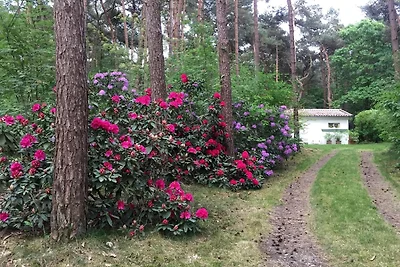 Bungalow in Lille in der Nהhe des...