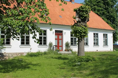 Vakantiehuis in Steffenshagen met terras
