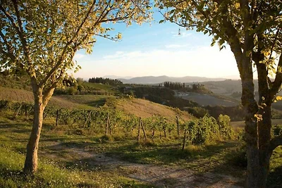 Wohnung in Montespertoli mit Pool