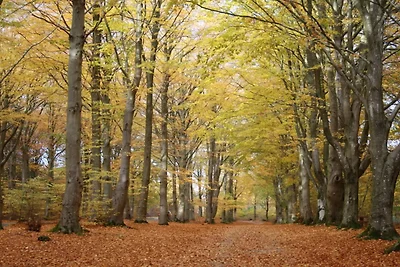 Renovierter Ruckzug mit Pool -- By Traum...