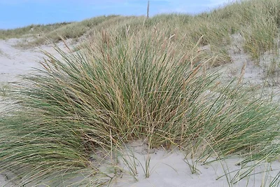 6 persoons vakantie huis in Pandrup-By Traum