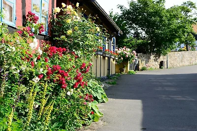6 Personen Ferienhaus in Allinge