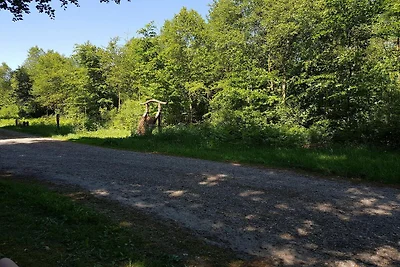 Familienhaus mit Terrasse und Liegewiese