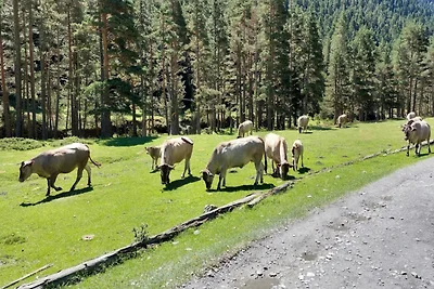 Wohnung im Dorfzentrum mit Loggia