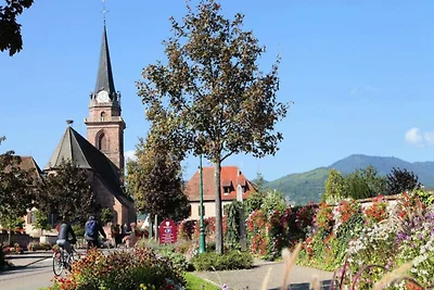 2-Zimmer-Wohnung f�r 6 Personen