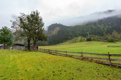 Wohnung in Bichlbach nahe Skipisten