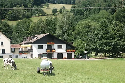 Idyllische Wohnung in Mossautal mit Garten