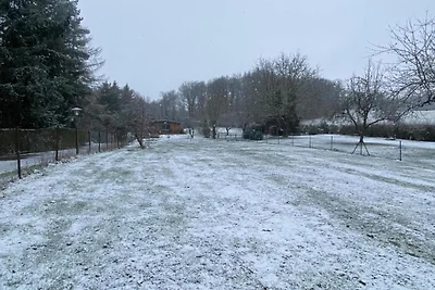 In der Region (Winter) (>5 km) In der Region (Winter) (>5 km)