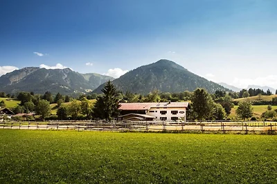 Landhof-Vergissmeinnicht