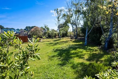 Goldener Ginster · Ploumanach Außergewöhnlich