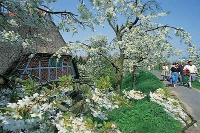 Sunday Hotel Stade Widukind Einzelzimmer