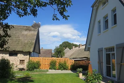 Storchennest OG