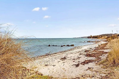 8 Personen Ferienhaus in Tranekær