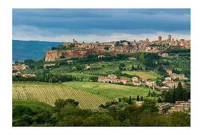 Sestilio Bruti 2