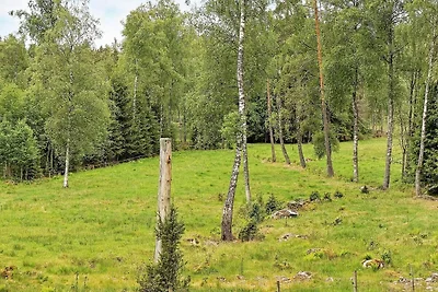 6 persone case ad SÄVSJÖ