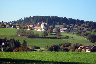 Dom w naturze - widok na Feldberg
