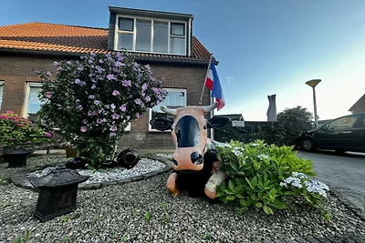 Ferienhaus in Elim für 8 Personen