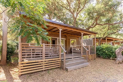 Mobilhome im Ferienpark mit grosser...