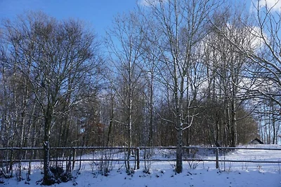 Wohnung in Ruhmannsfelden nahe Skipisten