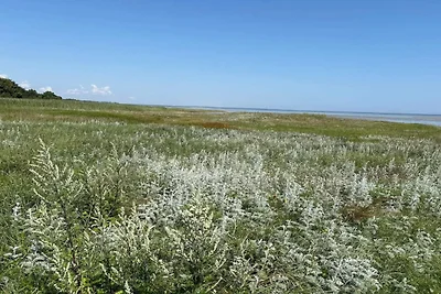 11 Personen Ferienhaus in Ørsted-By Traum