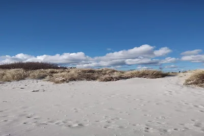 6 persone case ad Hadsund