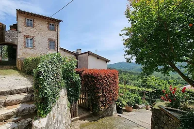 Ferienhaus in Orbicciano-Camaiore-LU mit priv...
