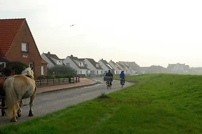 Wohnung "Strandkrabbe"