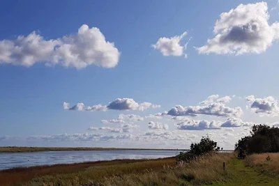 4 Sterne Ferienhaus in Hals-By Traum