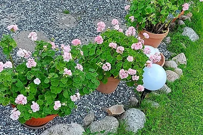 4 Sterne Ferienhaus in SKJEBERG